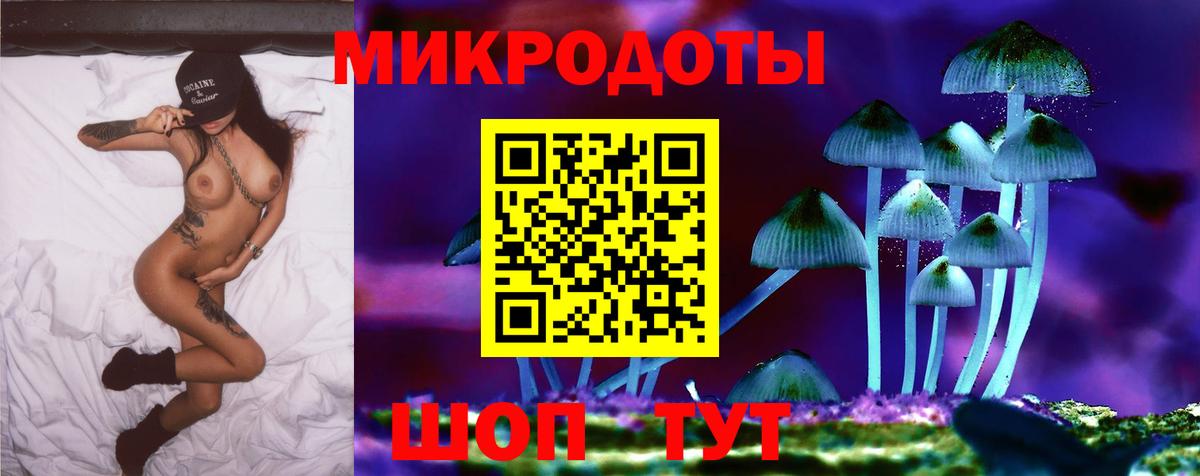 Псилоцибиновые грибы Psilocybine cubensis Советский
